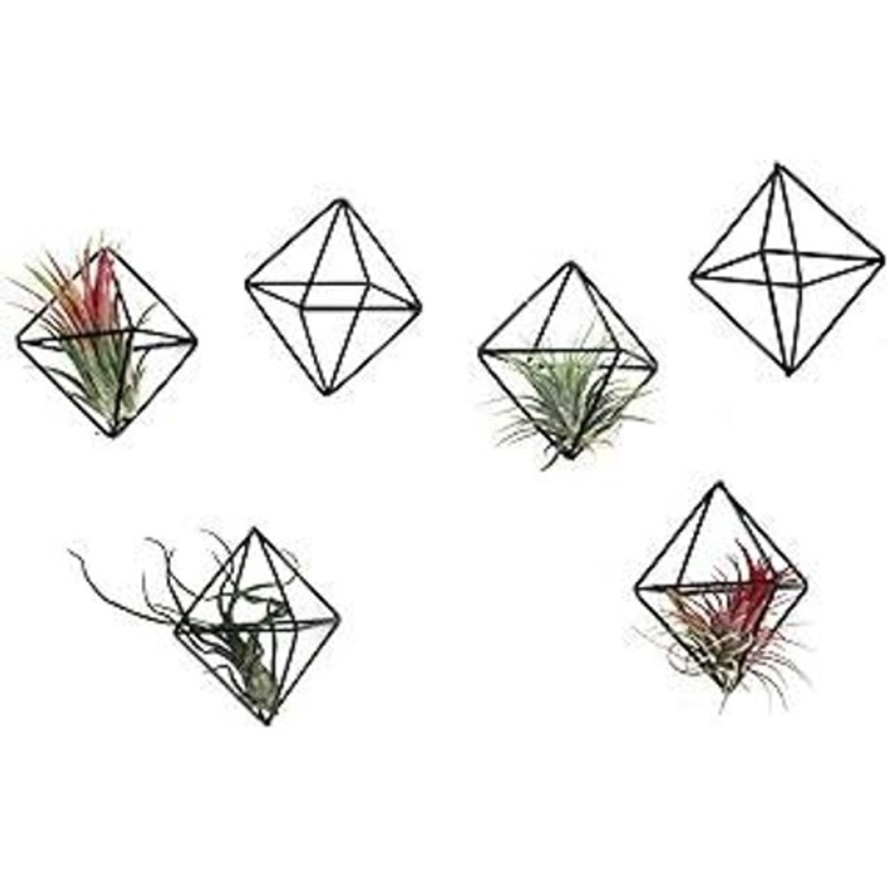 Mkono 5 Pack Air Plant Holder Geometric Metal‎ Stand Light Bronze Wedding Decor
